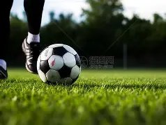 大乐透期号,专家推荐,恶意摆烂重,365体育,Bet365,365体育官网,365体育官网,365体育下载,365体育APP