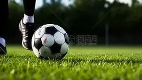 大乐透期号专家推荐：恶意摆烂重罚无效